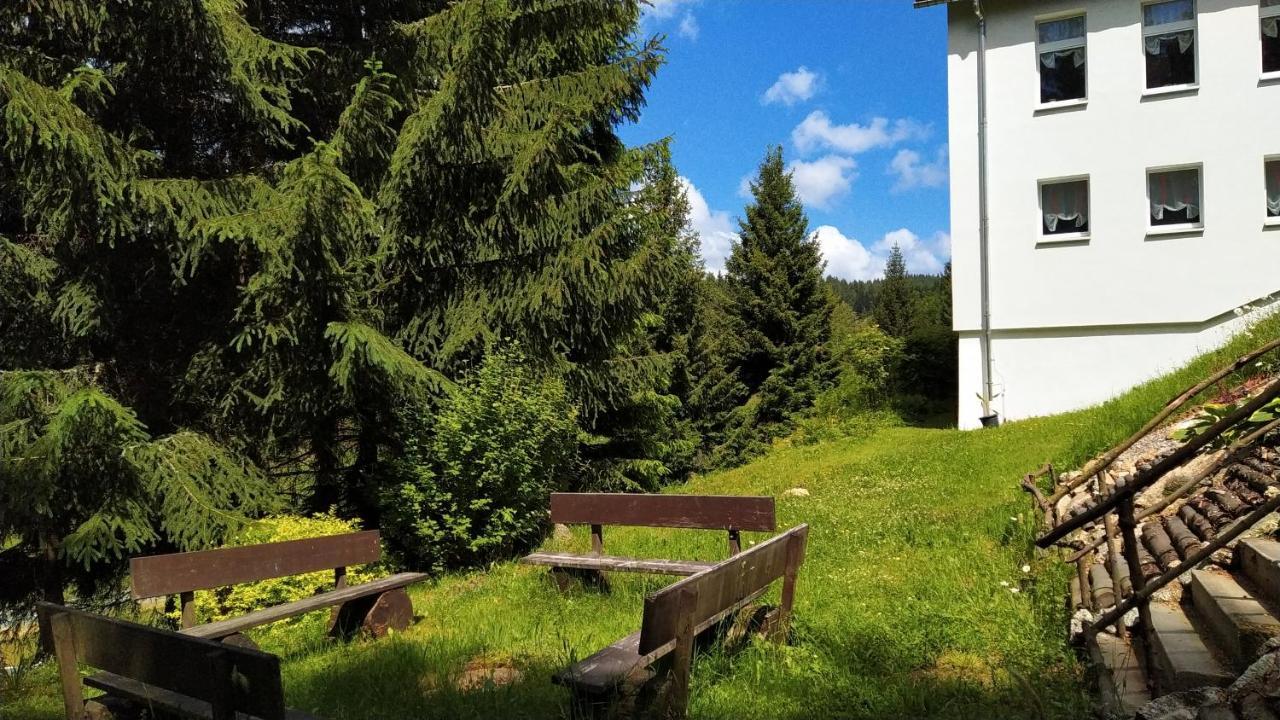 Greizer Kammhuette Gaststaette & Pension Клінґенталь Екстер'єр фото