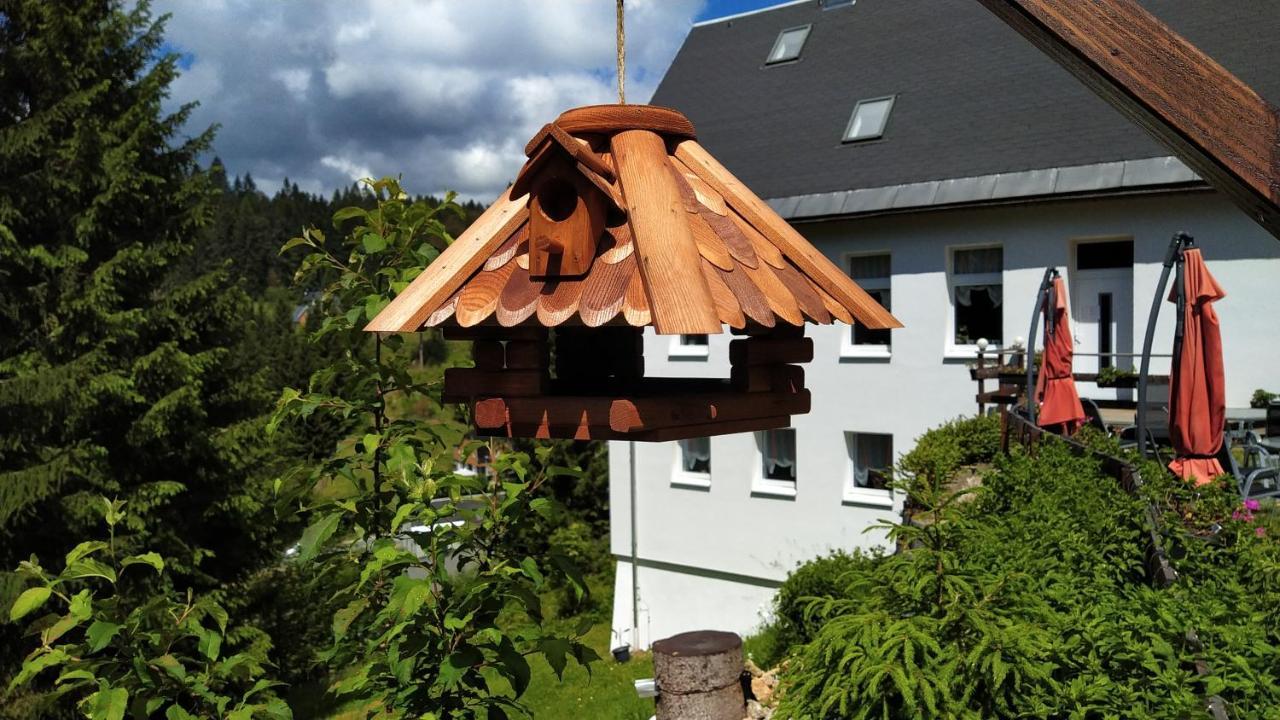 Greizer Kammhuette Gaststaette & Pension Клінґенталь Екстер'єр фото