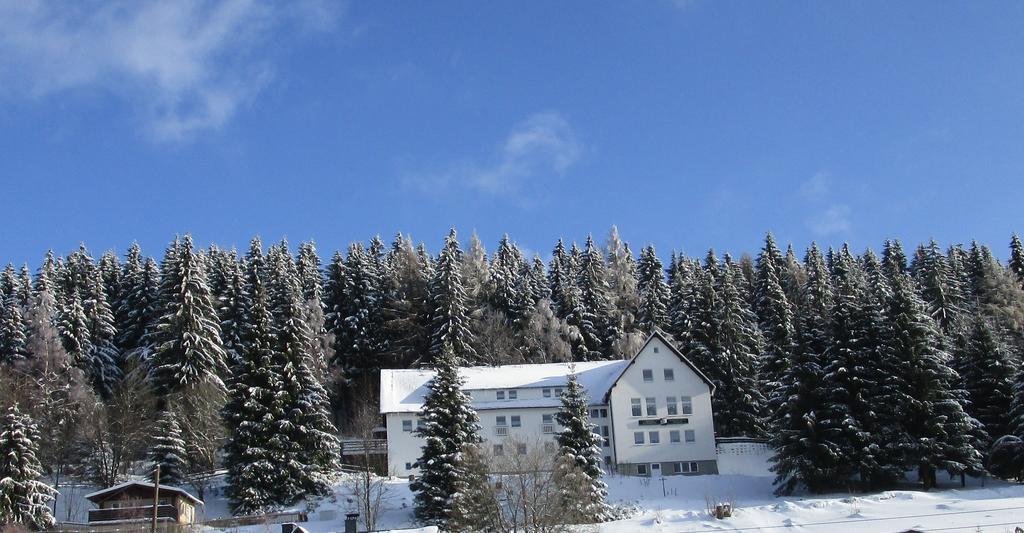 Greizer Kammhuette Gaststaette & Pension Клінґенталь Екстер'єр фото