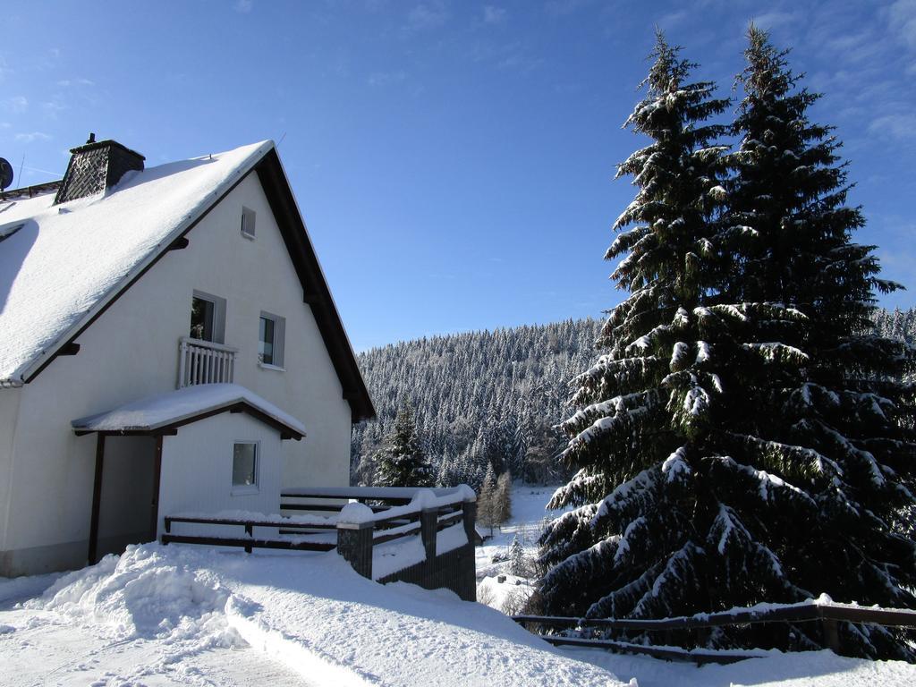 Greizer Kammhuette Gaststaette & Pension Клінґенталь Екстер'єр фото