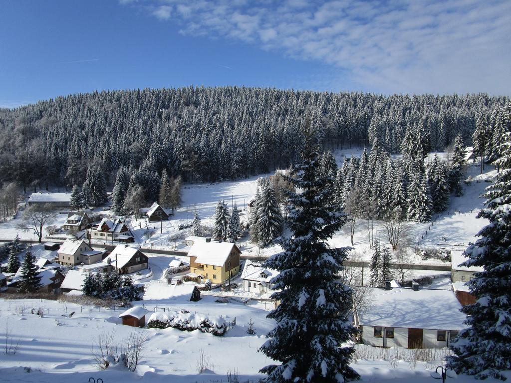 Greizer Kammhuette Gaststaette & Pension Клінґенталь Екстер'єр фото