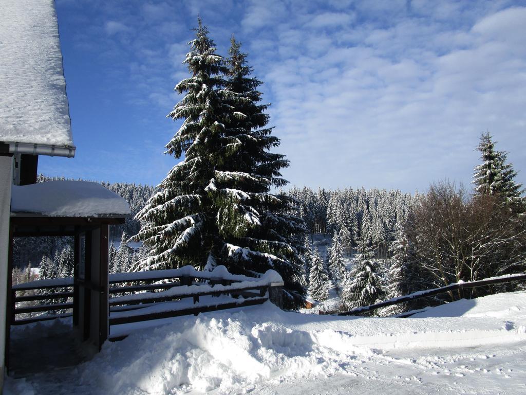 Greizer Kammhuette Gaststaette & Pension Клінґенталь Екстер'єр фото