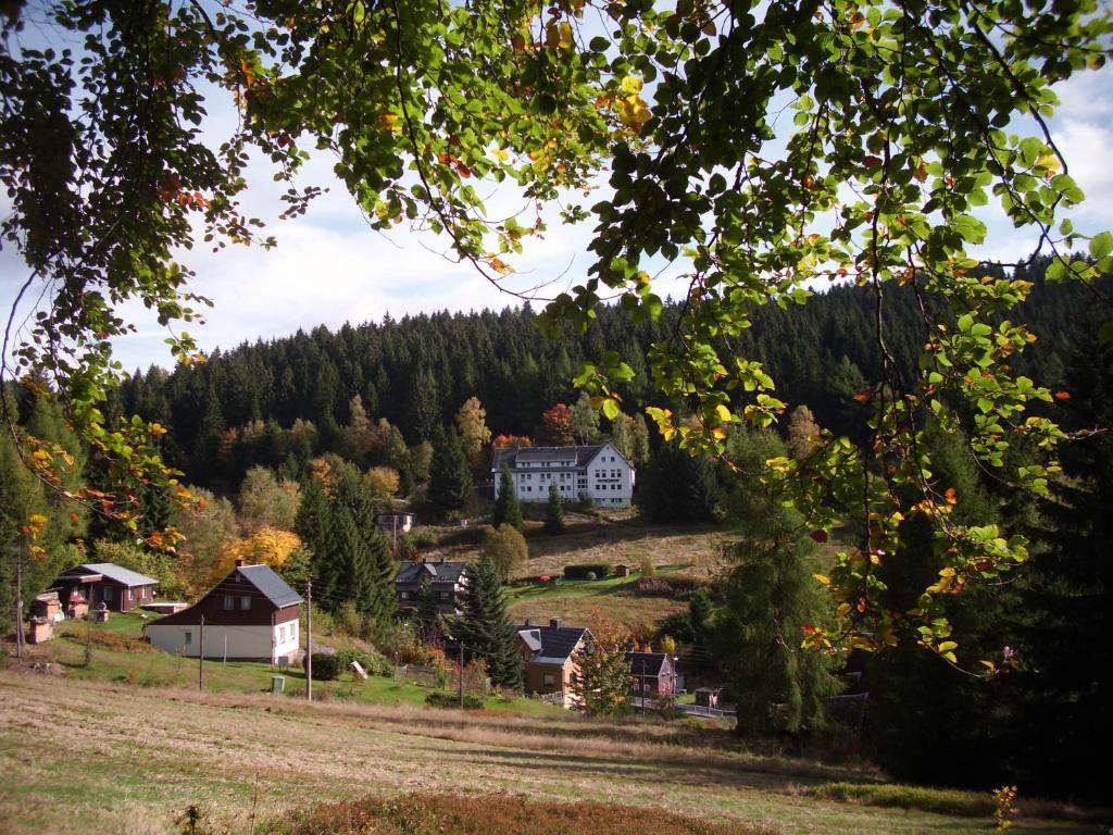 Greizer Kammhuette Gaststaette & Pension Клінґенталь Екстер'єр фото