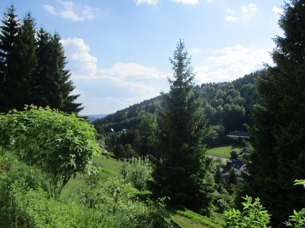 Greizer Kammhuette Gaststaette & Pension Клінґенталь Екстер'єр фото