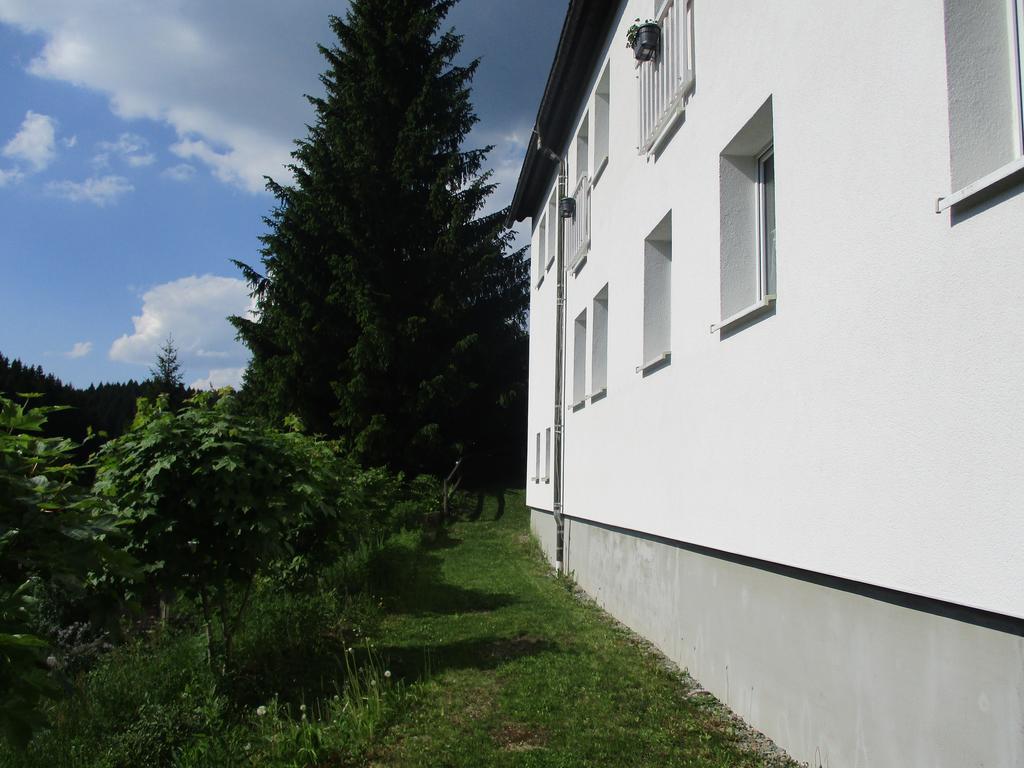Greizer Kammhuette Gaststaette & Pension Клінґенталь Екстер'єр фото