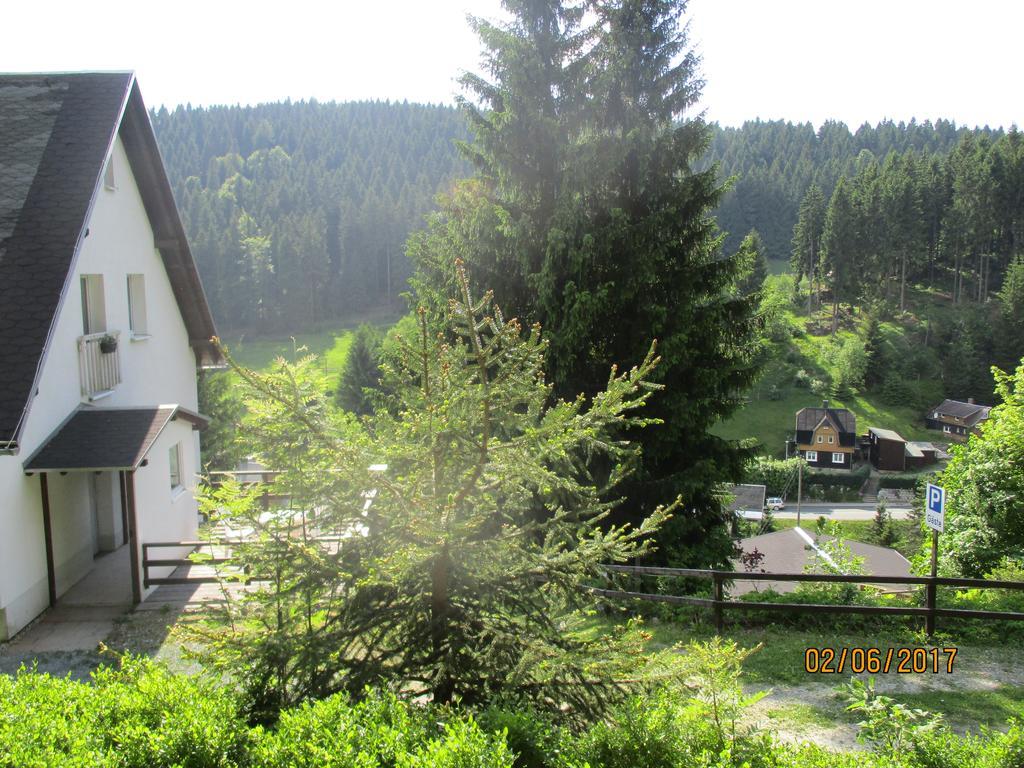 Greizer Kammhuette Gaststaette & Pension Клінґенталь Екстер'єр фото