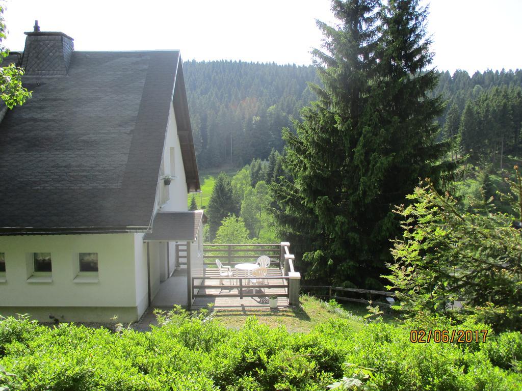 Greizer Kammhuette Gaststaette & Pension Клінґенталь Екстер'єр фото