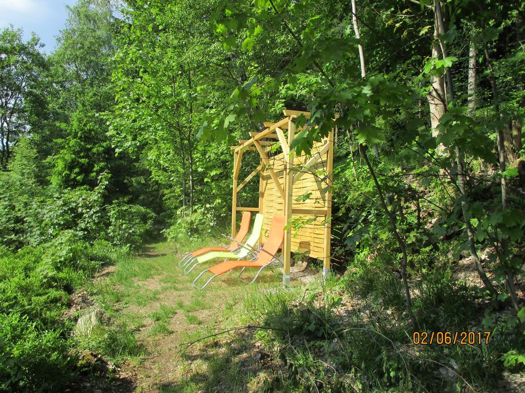 Greizer Kammhuette Gaststaette & Pension Клінґенталь Екстер'єр фото