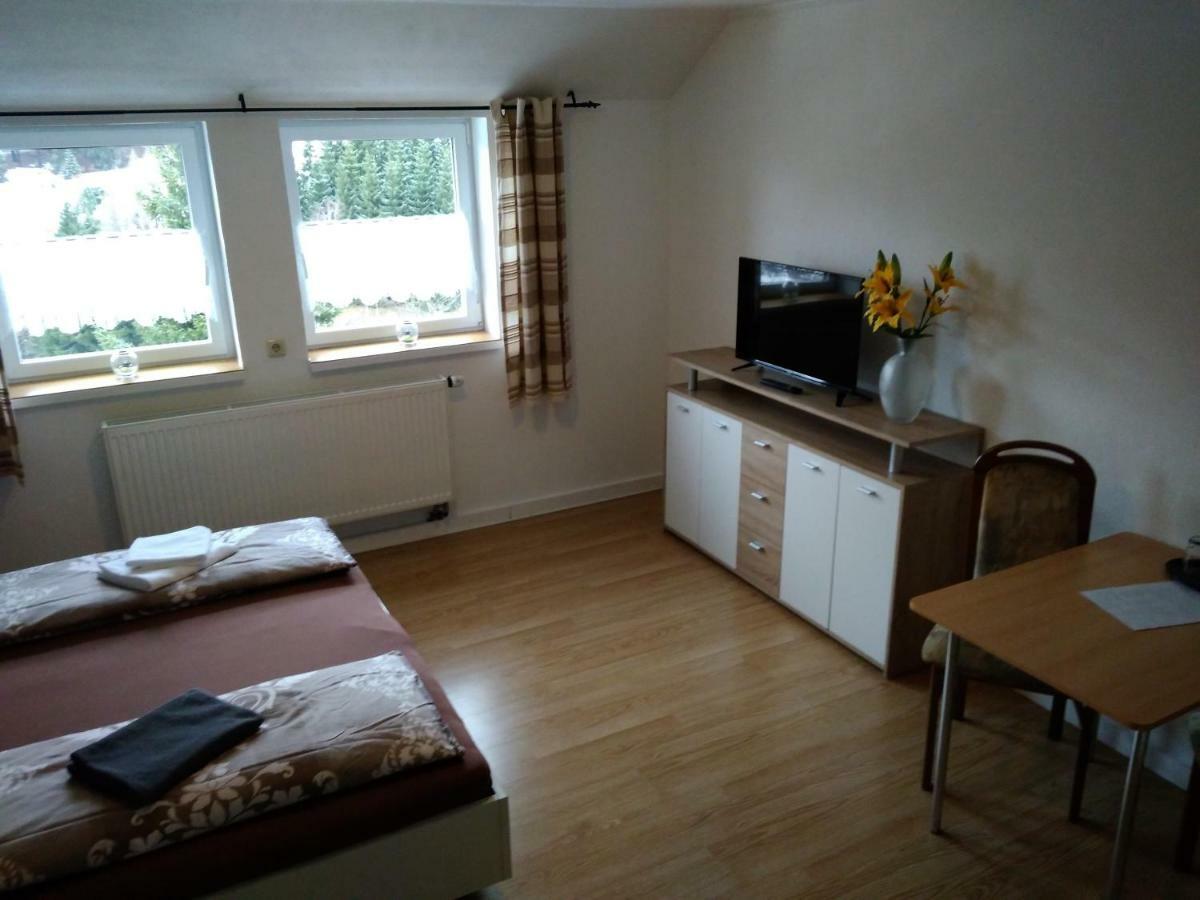 Greizer Kammhuette Gaststaette & Pension Клінґенталь Екстер'єр фото