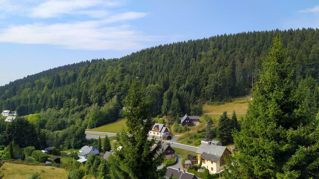 Greizer Kammhuette Gaststaette & Pension Клінґенталь Екстер'єр фото