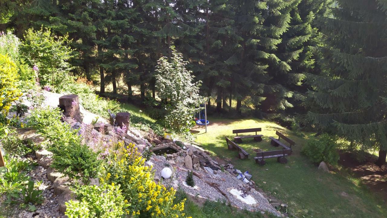 Greizer Kammhuette Gaststaette & Pension Клінґенталь Екстер'єр фото