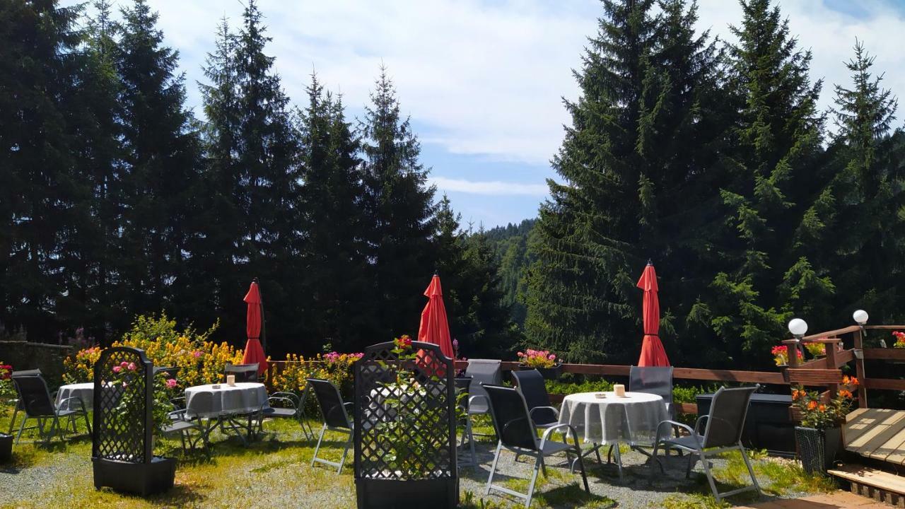 Greizer Kammhuette Gaststaette & Pension Клінґенталь Екстер'єр фото