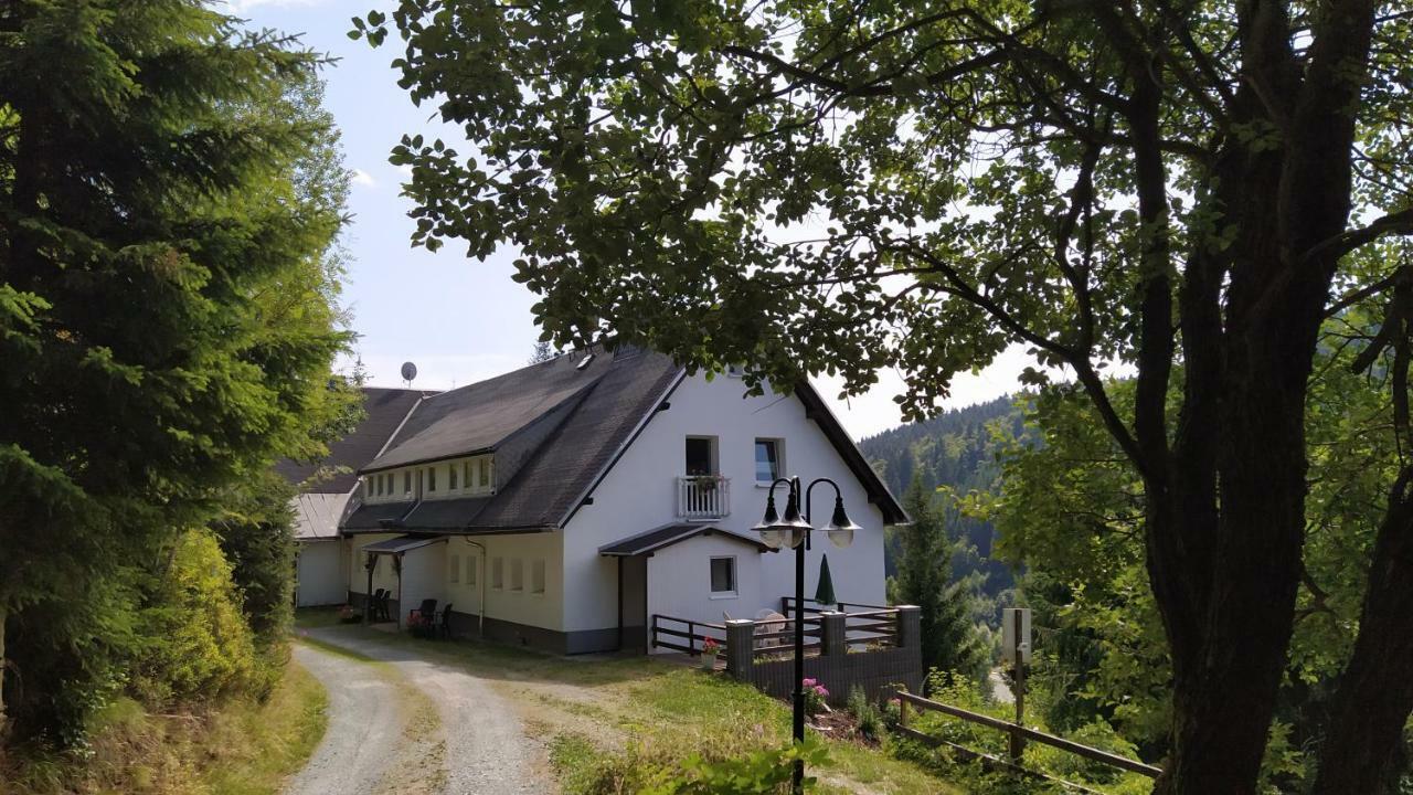 Greizer Kammhuette Gaststaette & Pension Клінґенталь Екстер'єр фото