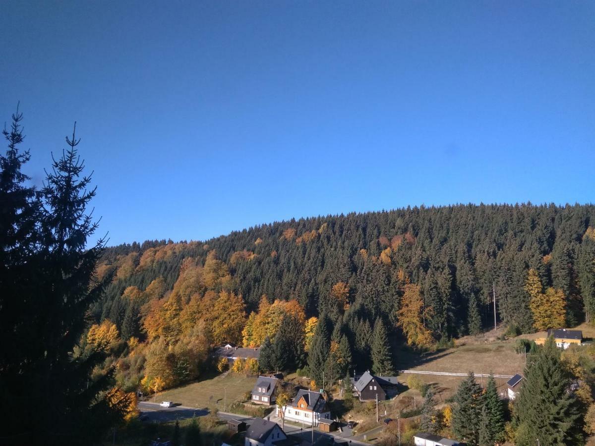 Greizer Kammhuette Gaststaette & Pension Клінґенталь Екстер'єр фото